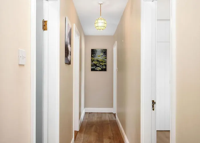 479 - * 克利夫登